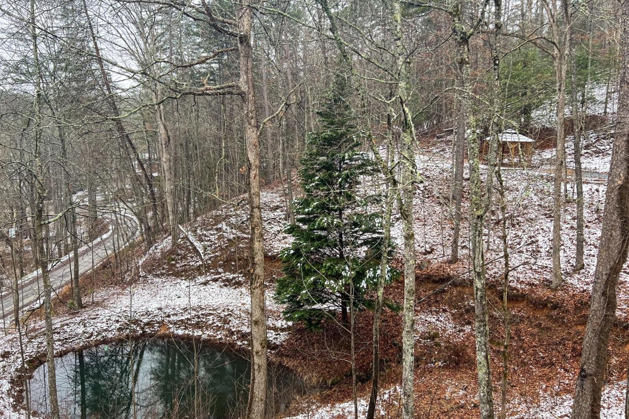 Holiday home Kept Secret Blue Ridge